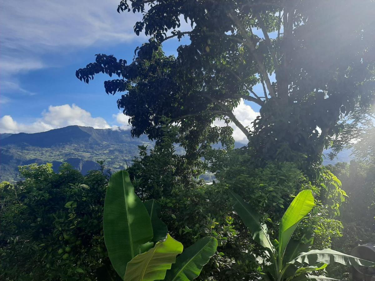Finca Umnisa - Чоачи Экстерьер фото