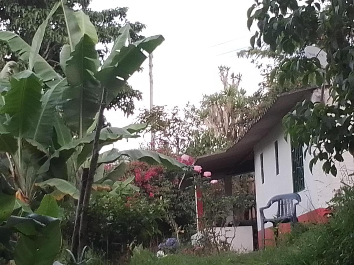 Finca Umnisa - Чоачи Экстерьер фото