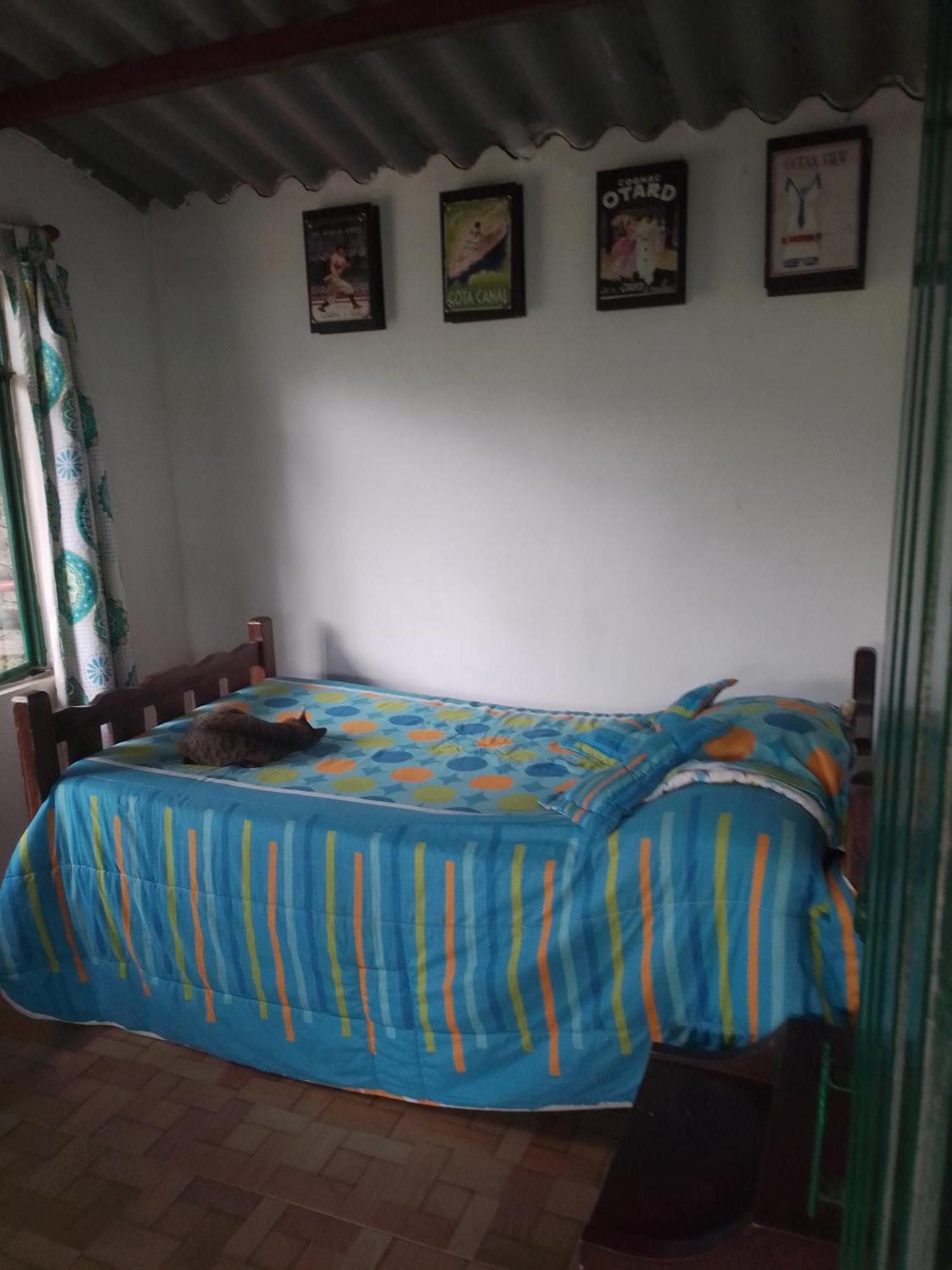 Finca Umnisa - Чоачи Экстерьер фото